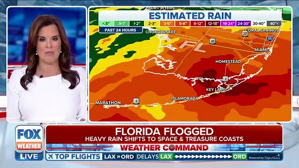 13K views · 227 reactions | SHOCKING DAMAGE: Wind gusts of over 70 mph combined with the saturated soil from the rain brought down trees and crushed cars in Miami Beach. FOX Weather meteorologist Amy Freeze takes a look at some of the damage. | FOX Weather | Facebook