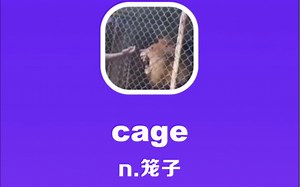 cage：笼子_哔哩哔哩_bilibili