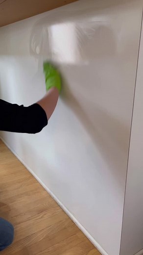 Professional Cleaner Tips for Pet and Child Messes