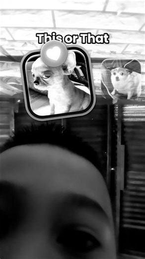 I did not use auto clicker you can see my finger clicking bro