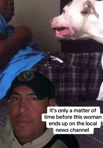 Don’t let your dogs on the bed every day. Every once in awhile is fine. However, It’s a high value space that your dog loves. Get them their own bed rather than your bed. Don’t let them think they’re entitled to your space. Set boundaries as a dog owner or you will get run over like this 🤜🏽🤛🏽 #n8tivedogfather#dogsoftiktok#doglover#greenscreen#foryoupage