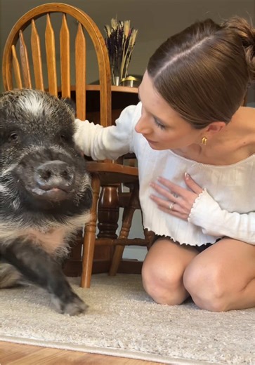 heading out for a little girls trip tomorrow with my soon to be sister-in-law. everyone say THANK YOU @Merlin’s Dad 🫃🏻 (and good luck) for holding the fort down for a few days while I’m away! ☀️