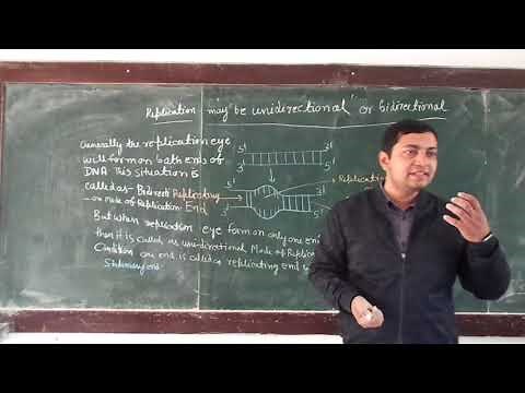 Unidirectional and Bidirectional Mode of DNA Replication