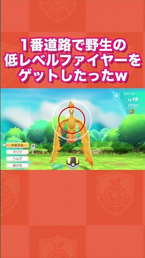 1番道路で野生の低レベルファイヤーをゲットしたったww【ポケットモンスター Let's Go! ピカチュウ・Let's Go! イーブイ】