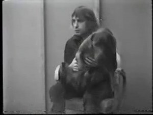 William Wegman - Selected Works