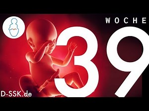 39th week of pregnancy / 39th week of pregnancy ✪ D-SSK.de