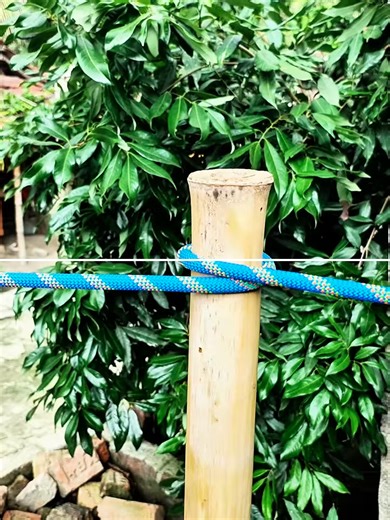 Learn the One Rope Knot: Trusted Worldwide