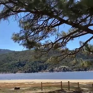 3.5K views · 138 reactions | CATFISH CAMP 7 All of Lake Hemet...