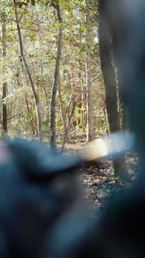 Different | a Rolling Thunder film • “Different” tells the story of a collaboration with deep roots in the turkey woods and the distinctly different reaction a trumpet elicits from the wild turkey. “Different” is a look at the heritage, the process, and the purpose behind something we’ve quietly worked on for a long long time. This isn’t just the next batch, or a new model in our line up…. It is all of those things, but it’s so much more. This project is different. Ricky Padgett is different, an