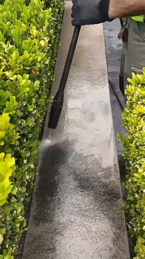 32K views · 651 reactions | Lawn Mowing & Weeding Perfectly Done  Cutting, mowing and rooting out the overgrown greens are always felt satisfying. Perfect Lawn care techniques. #cleaning #satisfying #lawn #lawncare | Lawn Care Reel | Facebook