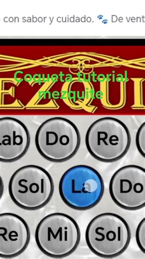 Coqueta tutorial mezquite acordeón