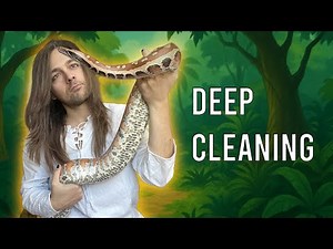 Cleaning my Blood Python Enclosure! 🐍