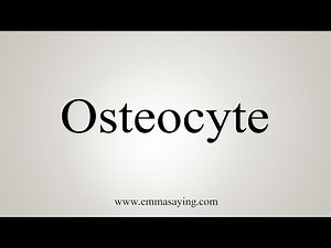 How To Say Osteocyte