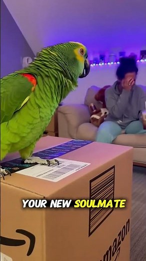 Jealous Amazon Parrot Freaks Out Over the Mailman 😭🦜📦 Viral Comedy Chaos
