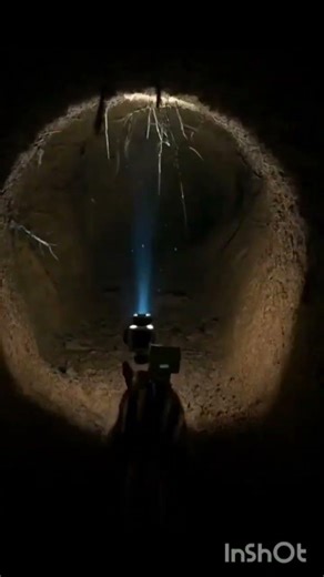 Tiny Animal POV Camera – Exploring the Secret Underground World | AI Croc Animal Project