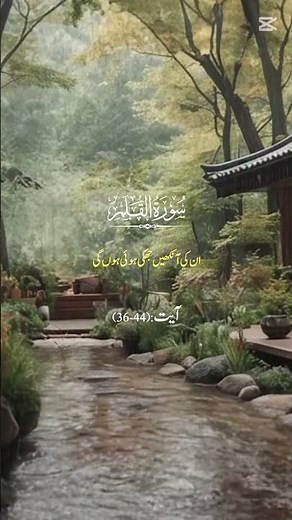 surah al qalam | Surah ala qalam Urdu translation | ayat 36-44 | quran |