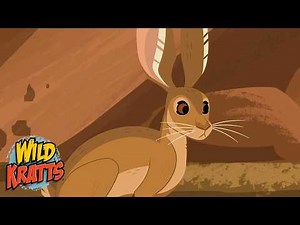 A Jack Rabbit's Wild Hop | Creature Abilities | Wild Kratts