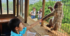 Half-day private tour of Arashiyama Monkey Park and Arashiyama's famous spots - Klook Australia