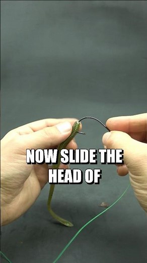 How to rig a rubber worm like a PRO!💡 ✅️