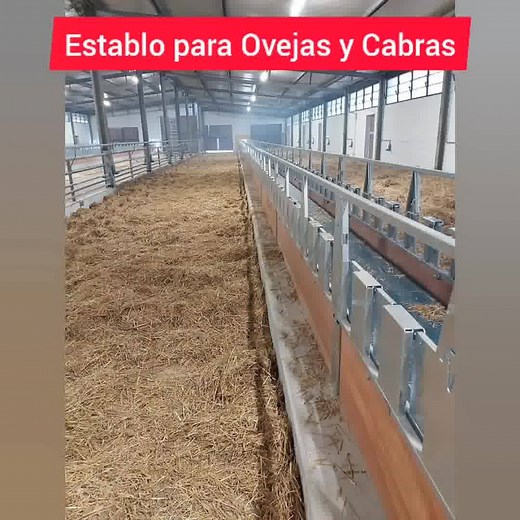 Diseño de establos para Cabras y Ovejas | El Ganadero