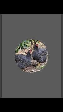 Natural_Farm is live!