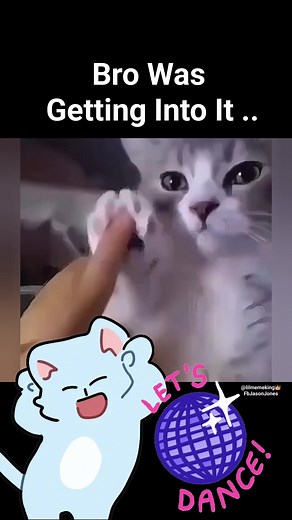 Dancing cat..! 😺😆🤣😂 #cat #dancingcat #everyoneシ゚ #fypシ #foryouシ #viralreelsシ #dancing #comedy #viralshorts #catlover #funnyvideos #dance #memes #funnymoments #viralvideoシ #videoviralシ #funny | Jason Jones Lilmemeking