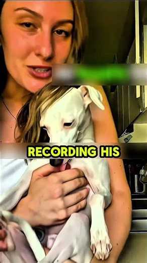 This Dog’s Yawn Sounds Like a Broken Siren😂🐶