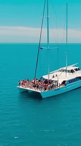 4K views · 416 reactions | ⚡DIMENSION LIVE - THE ONLINE PREMIERE ⚡ For the first time ever, watch my live show recorded at Wembley Arena tomorrow at 7pm GMT on DJ Mag’s YouTube channel  bit.ly/DLIVE_Wembley | Dimension | Facebook