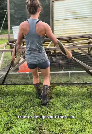 Essential Tips for Building the Perfect Chicken Tractor