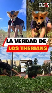La verdad de estas personas que se creen animales. | Casos 24/7