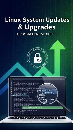 Do you know the difference between UPDATE and UPGRADE? Let me explain it simply!