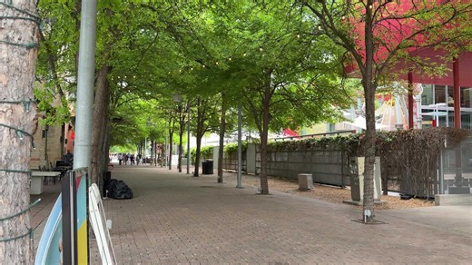 Self-driving car runs over and kills Mueller Park duck