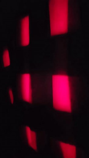 I've become a bear. I'll see you in the spring. | Ladybug Landings