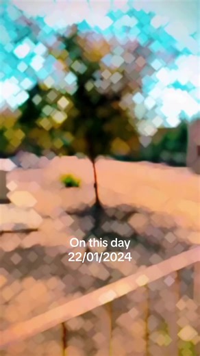 SYEDطارق  on TikTok