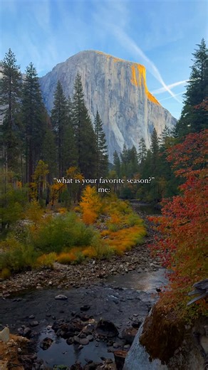Nell Narasappa | adventure travel | photography • drone 👩‍✈️ on Instagram: "how to track fall colors ⬇️ 👇🏼the trackers I used👇🏼 California has Fall too, and here are some sure-fire ways to ensure you visit during peak fall! Also, YOU should be planning a trip to witness the breathtaking fall foliage in California’s Eastern Sierras and Yosemite National Park sooon! Here’s how you can track and experience the best of autumn’s beauty: 1️⃣ Visit California Fall Color’s website (californiafallco