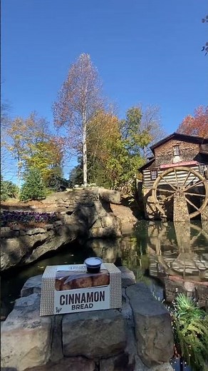 Dollywood Express decorated for Christmas. 🎄🎅🏻🚂