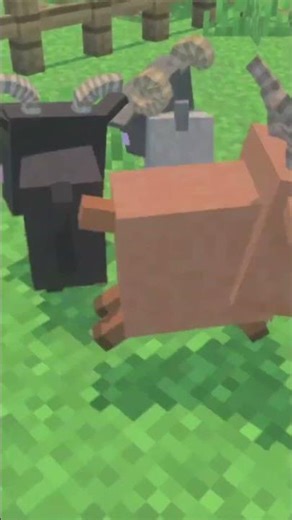 Fainting Goats Add-On in the Minecraft Marketplace 👻🐐😵