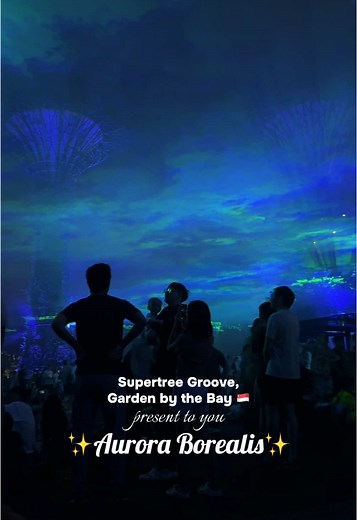 📍Supertree Groove, Garden by the Bay 🇸🇬 While waiting for your saving to build up to visit Norway to see Aurora Borealis, this is ✨amazing✨ experience 🥰 #singapore #gardenbythebay #auroraborealis #northernlight #placestovisitinsingapore #visitsingapore