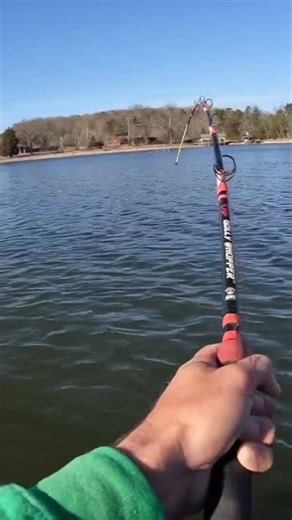 There Goes the Other Rod!