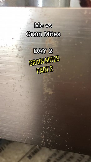 TikTok - Make Your Day