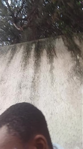 cetait fini depuis longtemps mm cest quoi bbl? un bb avec des ailes, un ange cest des fesses mais cest que les anges ont été sexualiser et caché comme jesus je vais le faire sortir et vous allez voir cest qui jesus, deja d’autre disent il est noir d’autres disent il est en blanc je m’explique