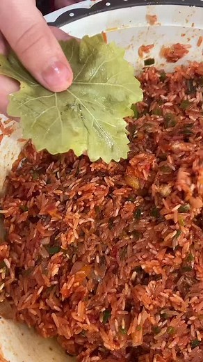 Delicious Dolma Recipe: A Step-by-Step Guide