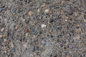 Fossils Quiz – Fun FREE Interactive General Quiz Questions for Kids -