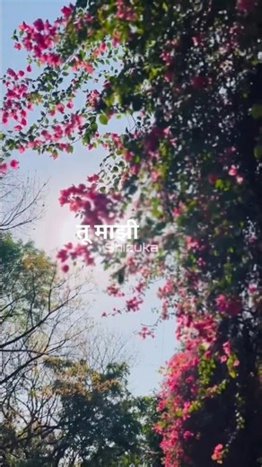 feel the marathi song 🎶tu majhi shizuka mithun nobita song with lyrics#trending#shorts#reel#editing
