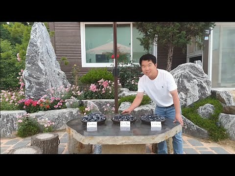 흑자갈 🤔사용법 규격부터 가격까지 모두 알려드립니다#자갈#해미석#조경석#조경자재#가드닝#정원#정원자재