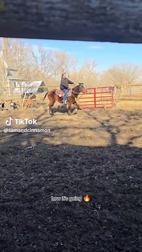 first ride compared to fourth ride#CapCut #fyp #rescuehorse #younghorse #trainning