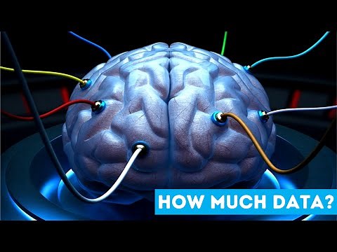 How Much Data Can Your Brain Store?