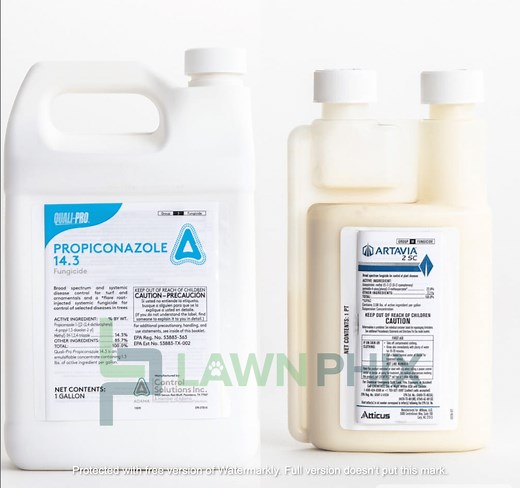 Propiconazole Vs Azoxystrobin Fungicides (Differences & Similarities) (Lawn Fungicide Differences & Similarities) - Lawn Phix