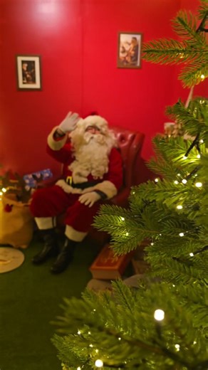 3 comments | Our Grotto journey  There is a small forest with...