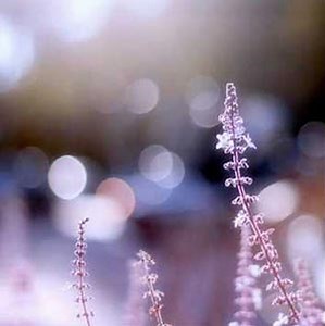 50 Greatest Hymns of All Time < 詩歌 | jgospel.net 福音站.com